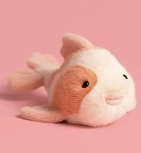 koi fish