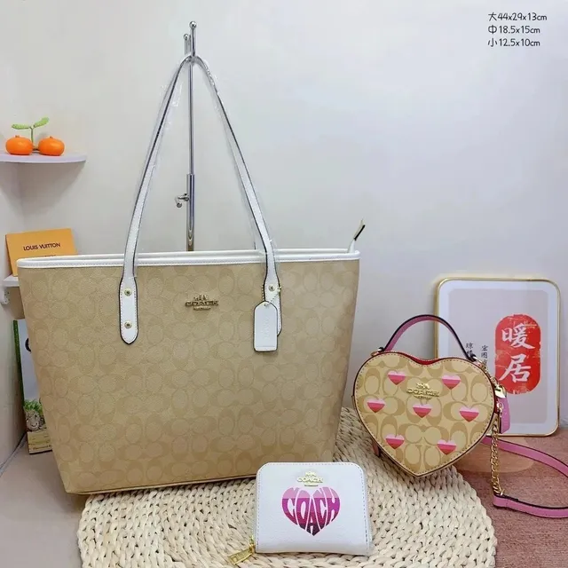 Coach Tote Bag Signature Canvas with Heart Print
