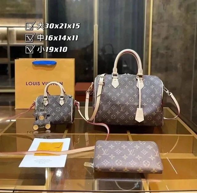 Louis Vuitton Speedy Monogram Canvas