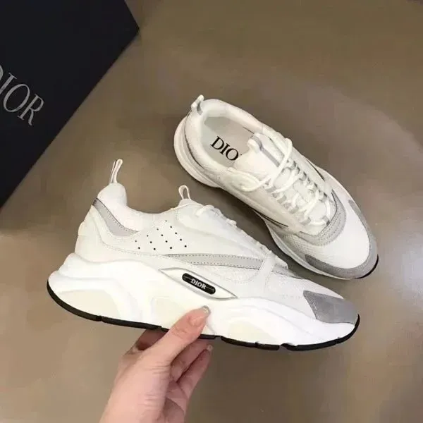 Dior B22 White Grey