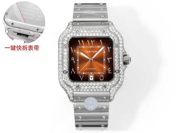 Santos de Cartier Diamond Bezel