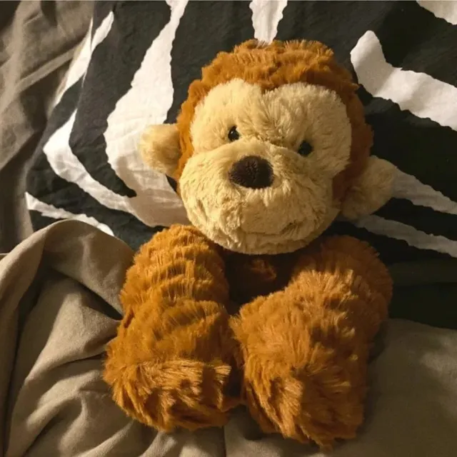 波浪猴子23cm