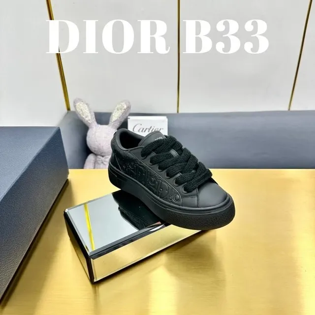 Dior B33