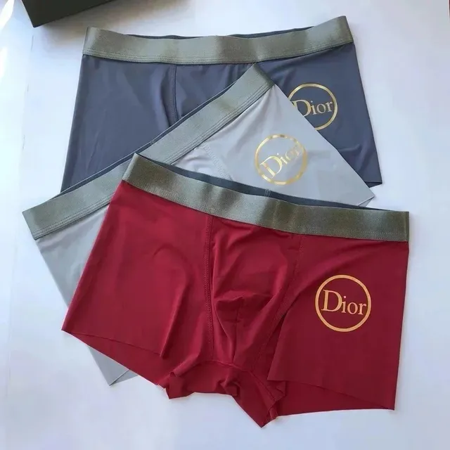 Dior Boxer Briefs Gold Logo