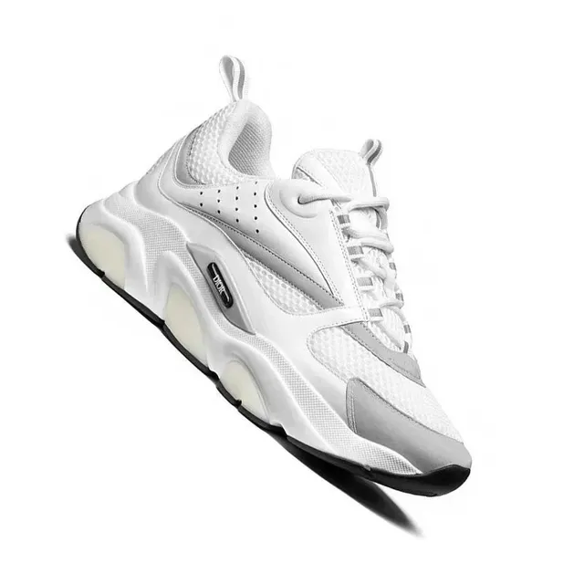 Dior B22 White Grey