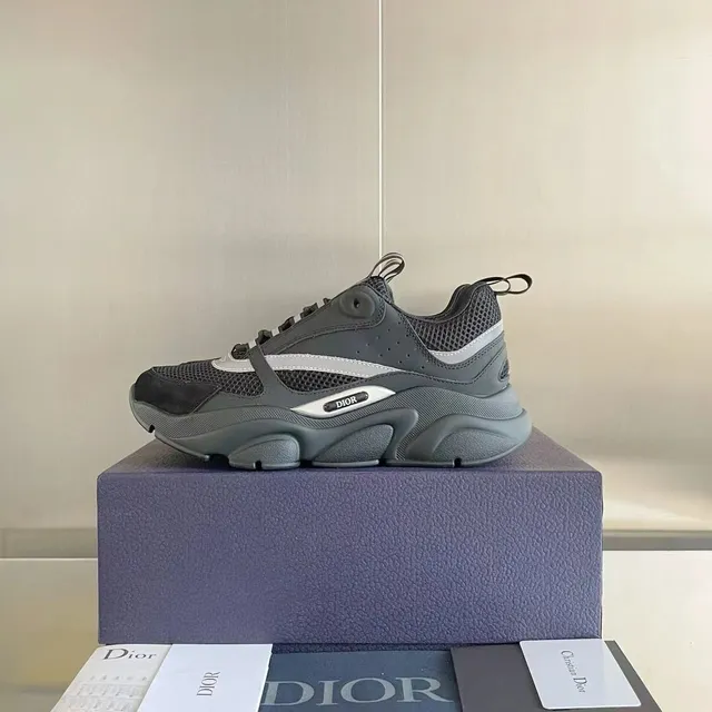 Dior B22 Grey Mesh and Suede