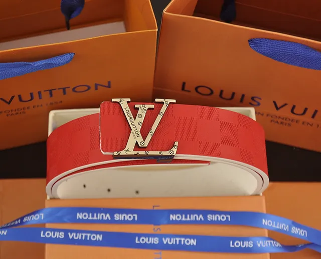 Louis Vuitton LV Belt Damier Infini