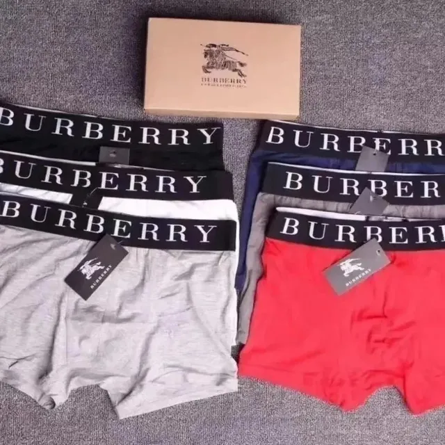 Burberry Boxer Briefs Logo Waistband