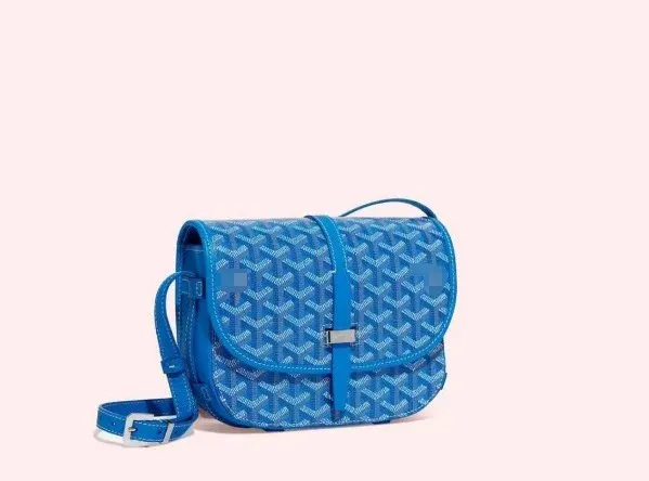 Goyard Saint Louis Monogram Canvas