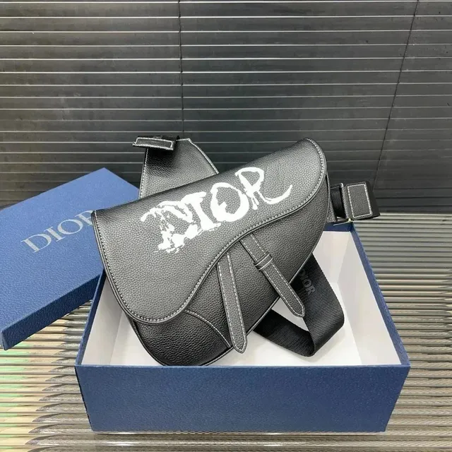 Dior Saddle Bag Graffiti Logo