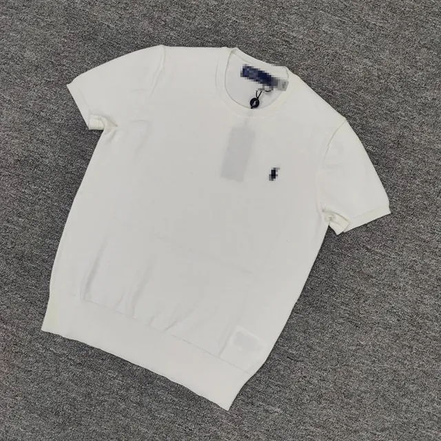 Polo Ralph Lauren Polo Shirt Classic Fit