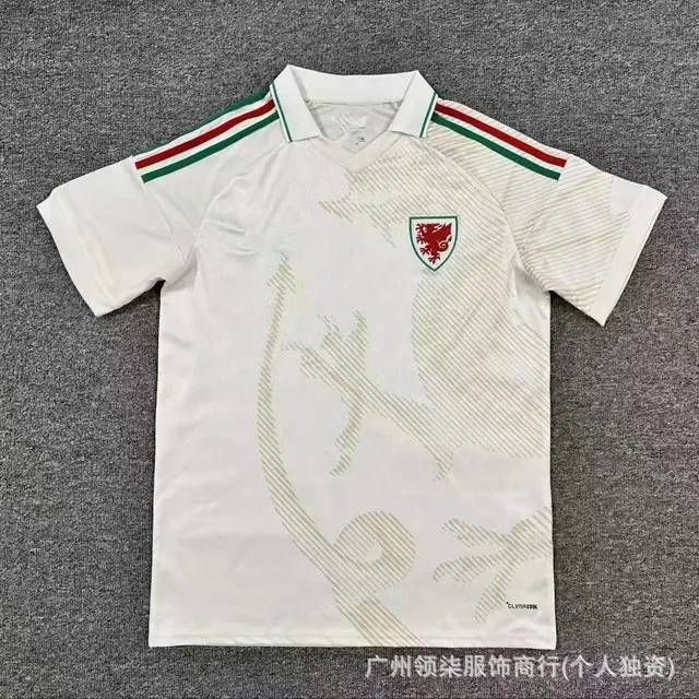 2627威尔士客场