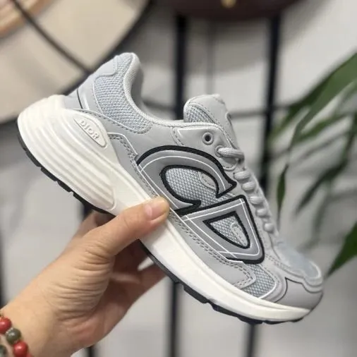 Dior B22 Grey White