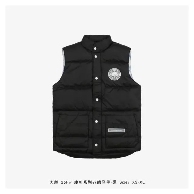 加拿大鹅8