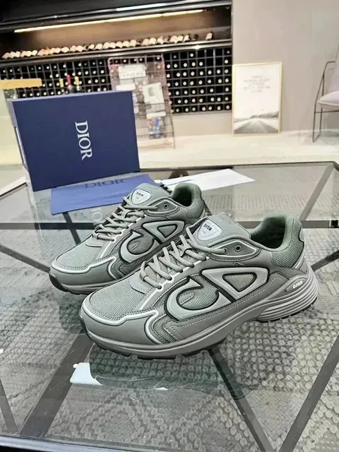 Dior B23 Low Grey Mesh