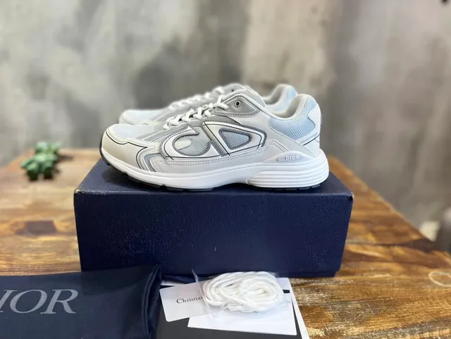 Dior B22 White Grey