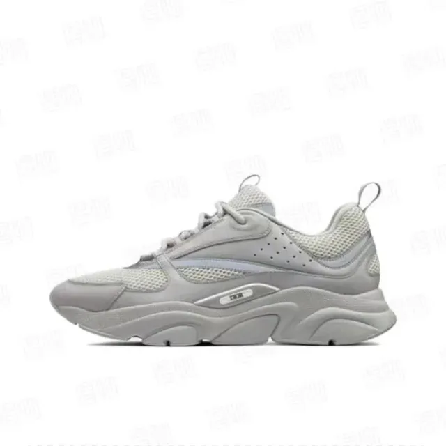 Dior B22 Monochrome Grey