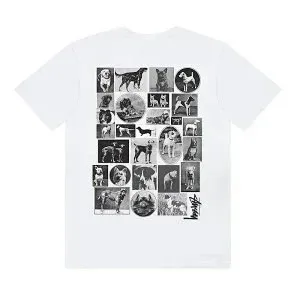 NEW Echo Garments