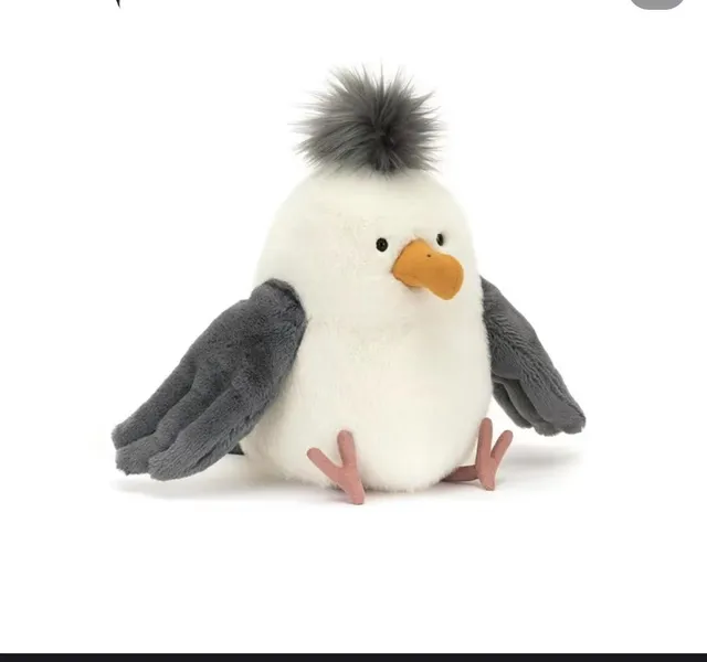 seagull