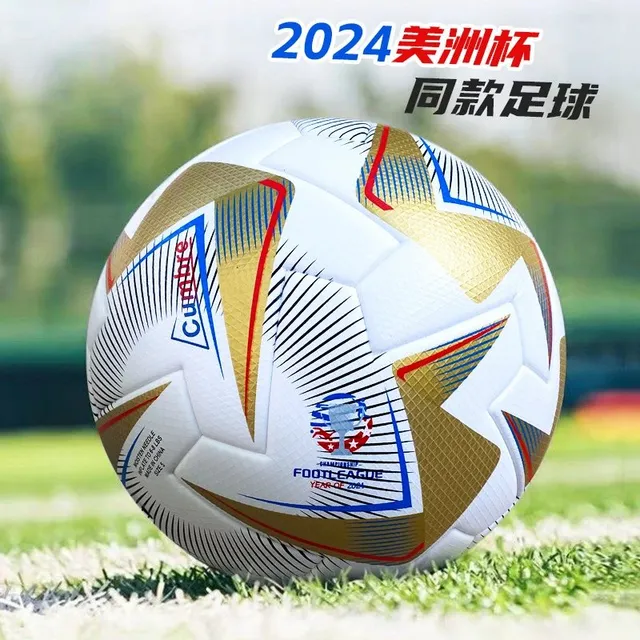 2024美洲杯金贴皮