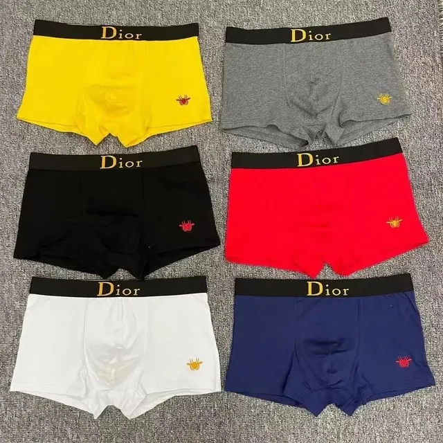 Dior Boxer Briefs Spider Logo