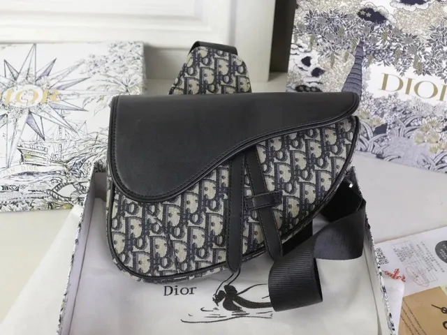Dior Saddle Bag Oblique Canvas