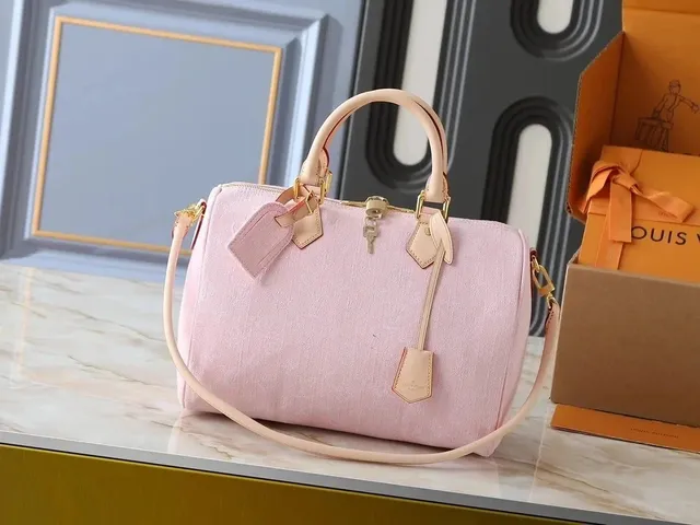 Louis Vuitton Speedy Canvas