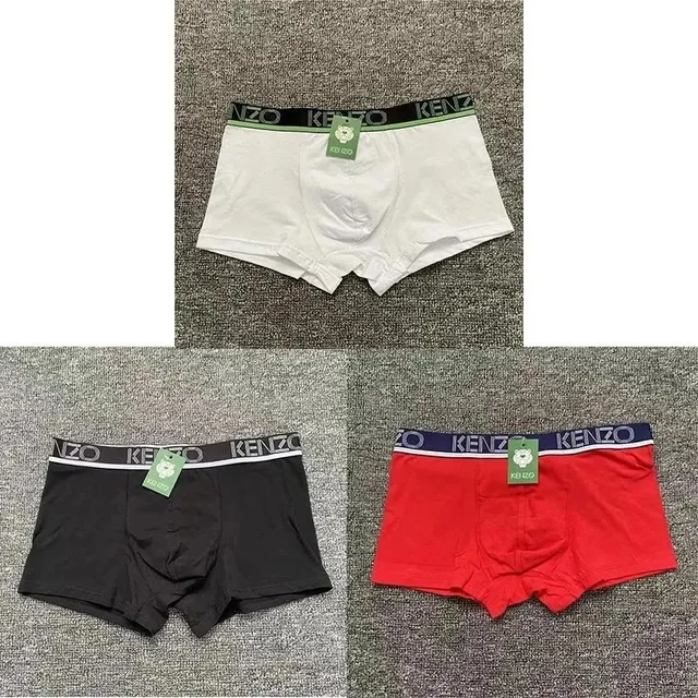 Kenzo Boxer Brief Logo Waistband