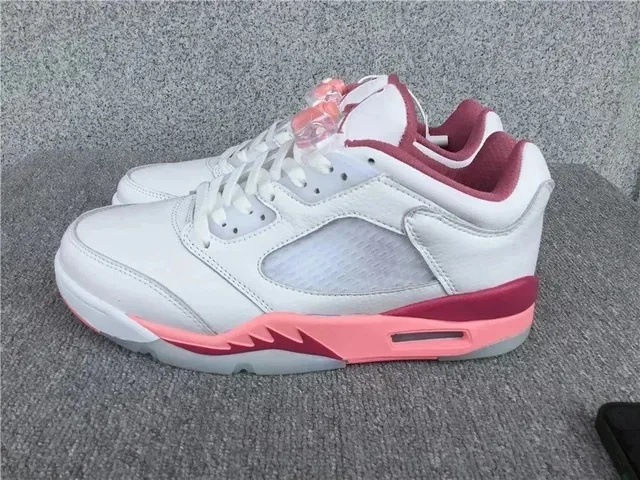 Air Jordan 5
