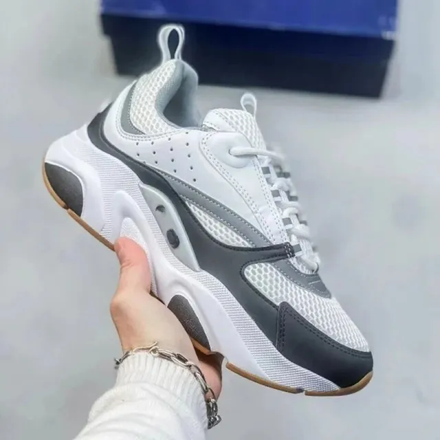 Dior B22 White Grey