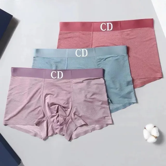 Dior Boxer Briefs CD Logo Waistband