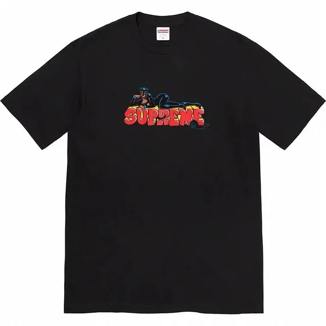 Supreme Box Logo Tee Catwoman Graphic