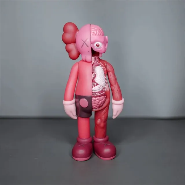 20cm 半解剖 红色【盒装】