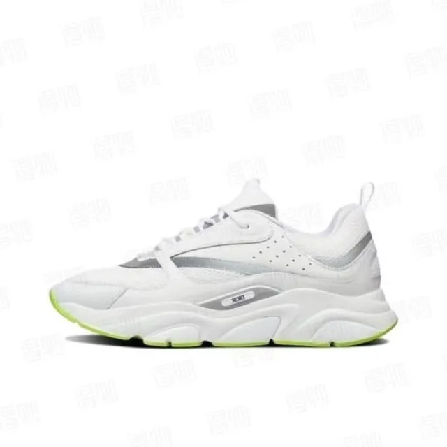 Dior B22 White Grey Volt