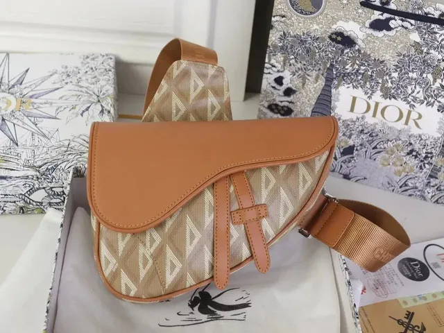 Dior Saddle Bag