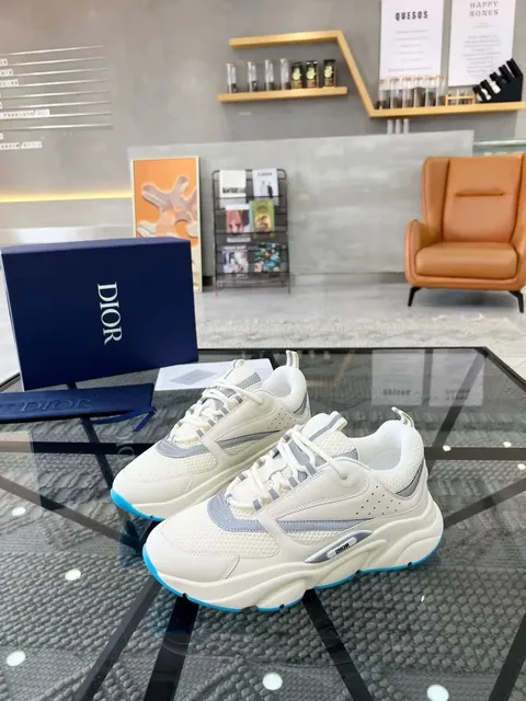 Dior B22 White Grey Blue