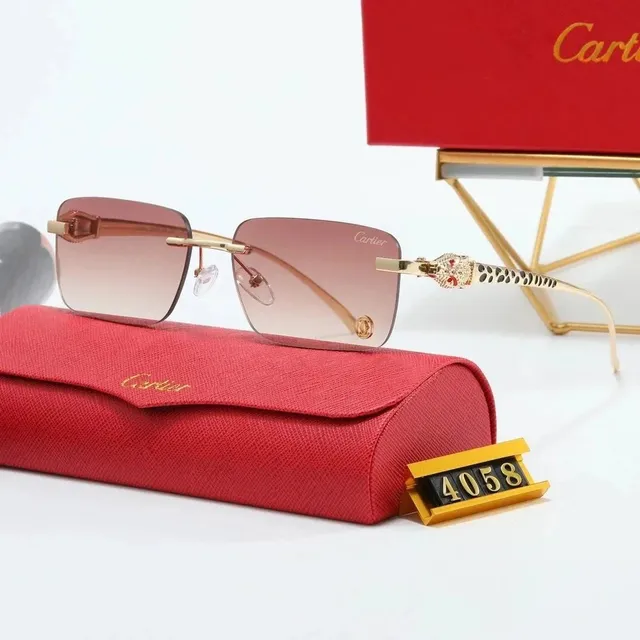Cartier Sunglasses Panthère Temple Detail