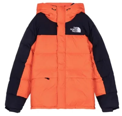 The North Face Mountain Light Jacket Colorblock