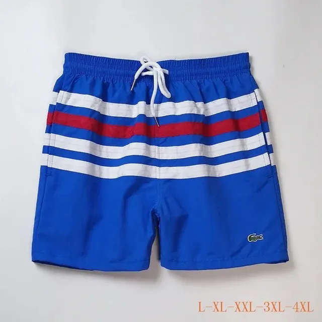 Lacoste Swim Shorts Striped