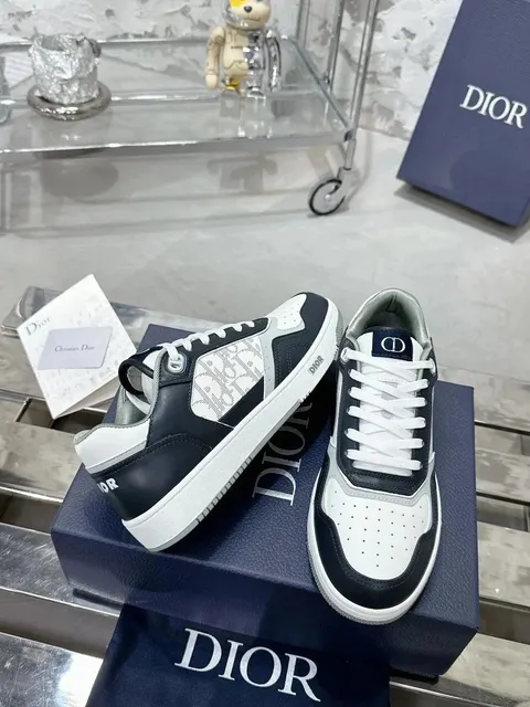 Dior B22