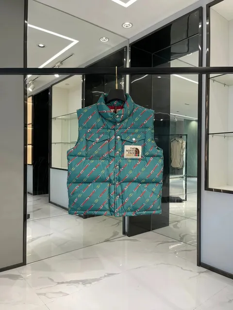 Gucci × The North Face Puffer Vest Horsebit Print