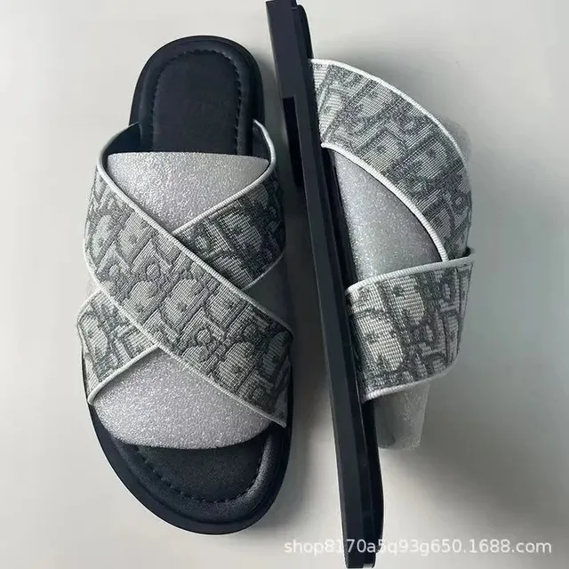 Dior B22 Slide Oblique Logo