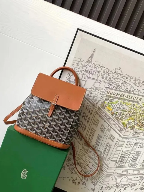 Goyard Saint Louis Backpack Goyardine Canvas