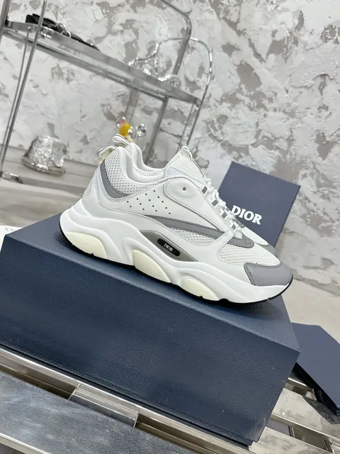 Dior B22 White Grey