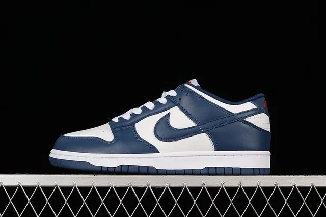 Nike Dunk Low Navy and White