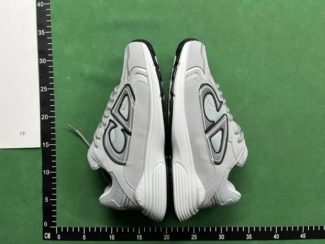 Dior B22