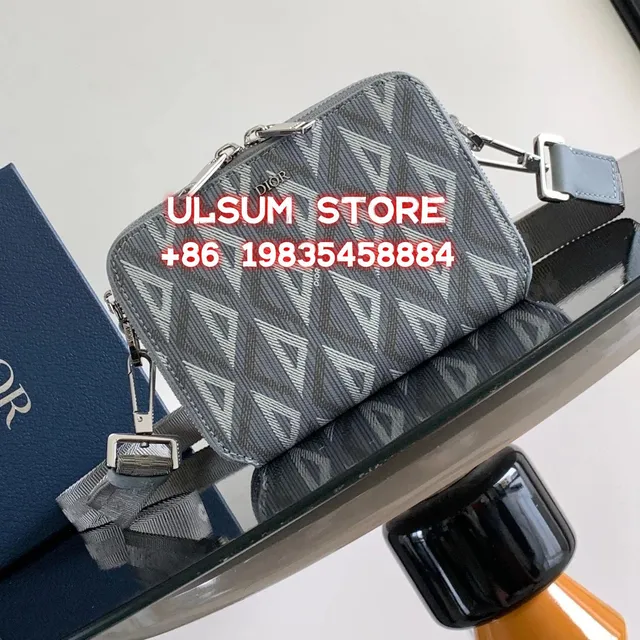 Dior B22 Oblique Print