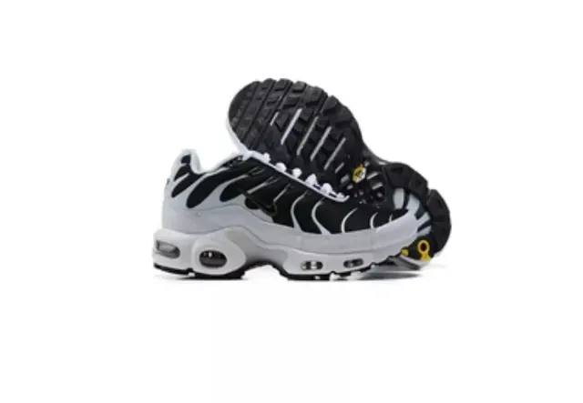 Nike Air Max TN Black White