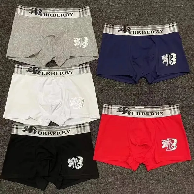 Burberry Boxer Briefs Checkered Logo Waistband