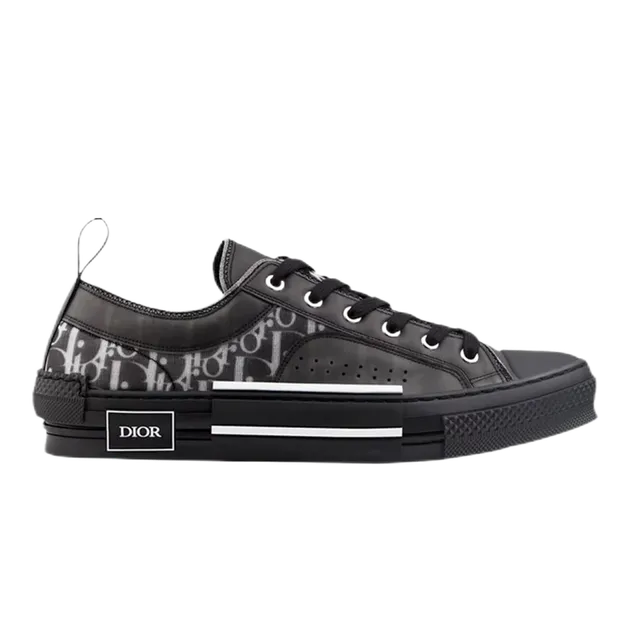Dior B22 Low Oblique Print